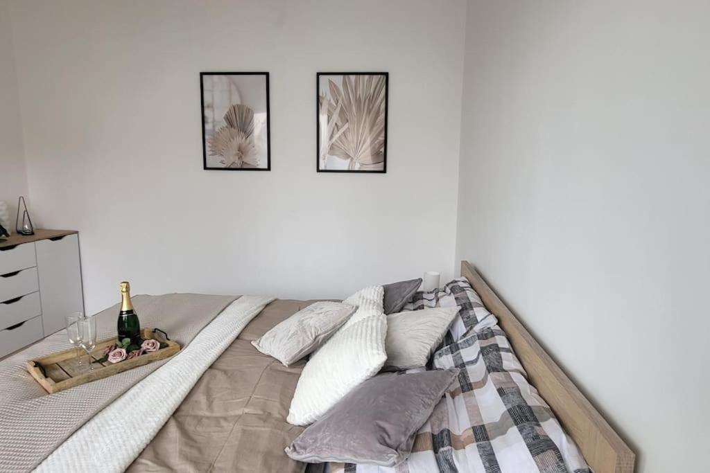 Utulny Byt V Centru Mesta Rychnov nad Kneznou Exteriör bild